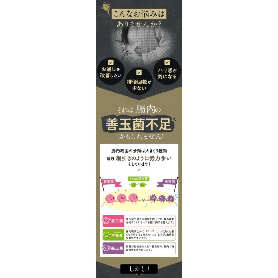 公式】フジッコ 善玉菌のチカラEX 3袋セット（1袋31粒入り）便秘対策