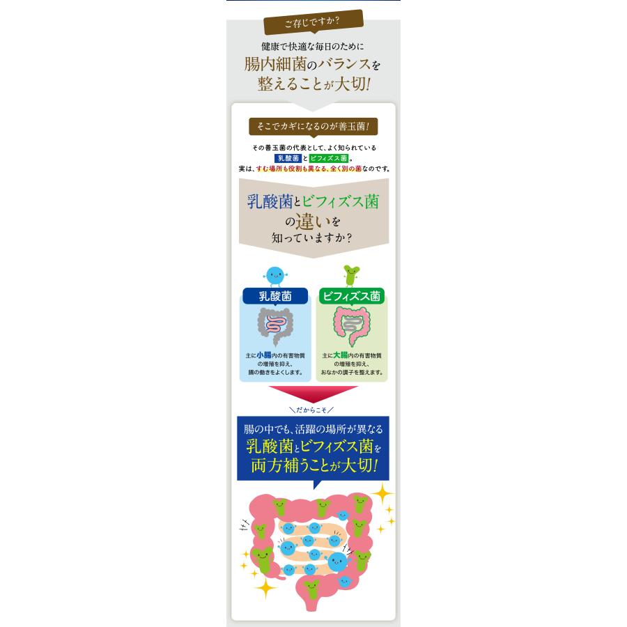 フジッコ 善玉菌のチカラEX ×3袋セット 新品未開封 公式】フジッコ 善玉菌のチカラEX 3袋セット（1袋31粒入り）便秘対策