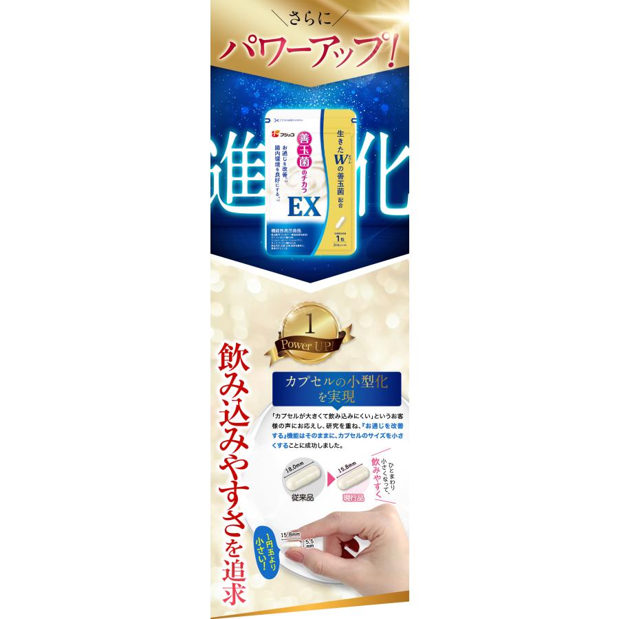 公式】フジッコ 善玉菌のチカラEX 3袋セット（1袋31粒入り）便秘対策