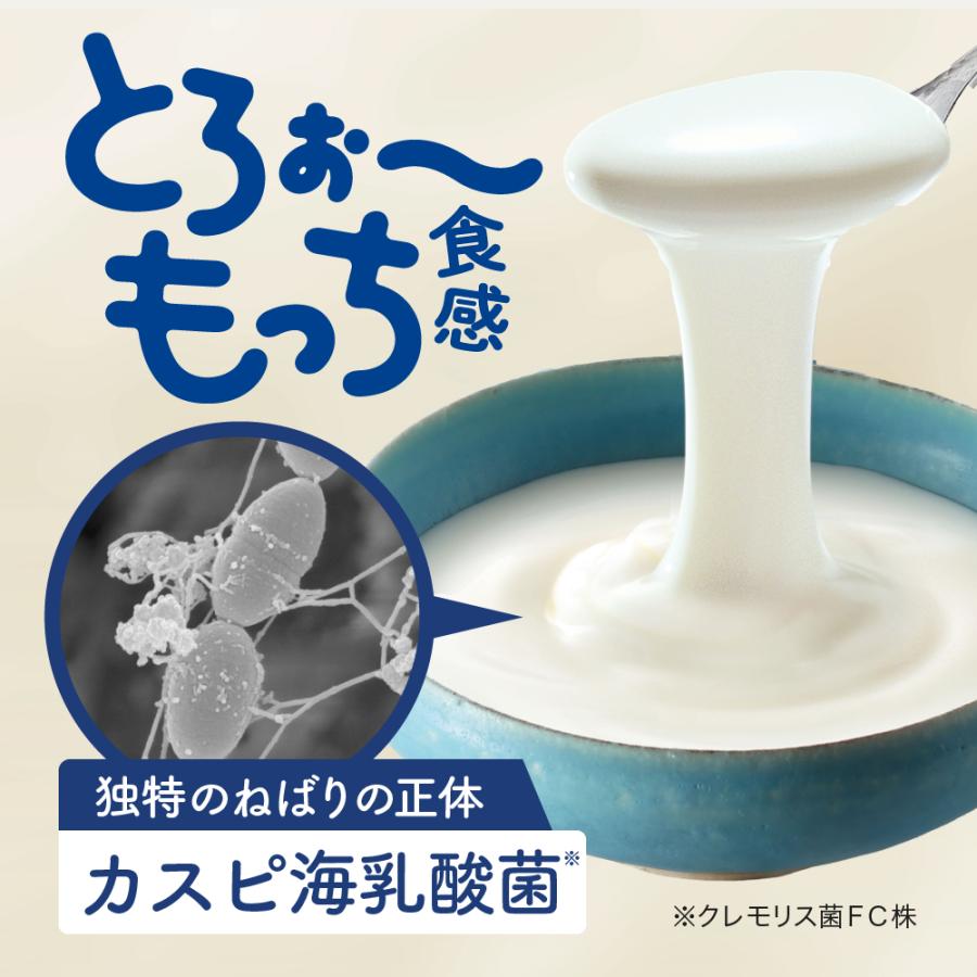 フジッコ 【公式】 カスピ海ヨーグルト手づくり用種菌（3g×2包）1