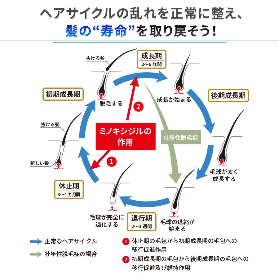 【第1類医薬品】 ミノキシジル 配合外用液 5％「FCI」 (60mL)