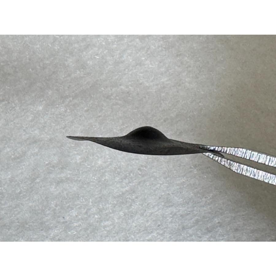 フジパッチ |  | 02