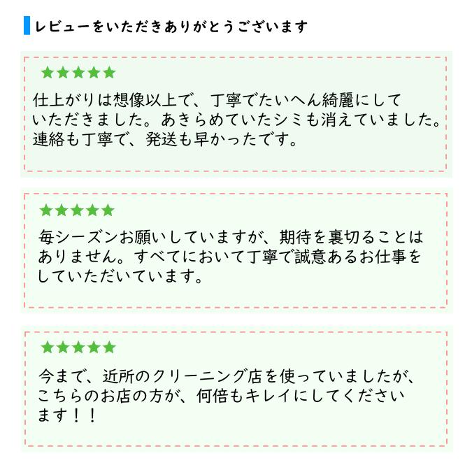 クリーニング 宅配 詰め放題 7点まで Sサイズ集荷バッグ しみ抜き
