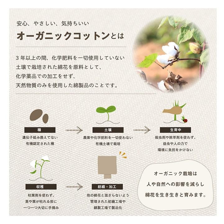 日本製 車用クッション カークッション 「クララ い草入タタキ」 約43×43cm クッション インド綿 オーガニックコットン 無地 |  | 05