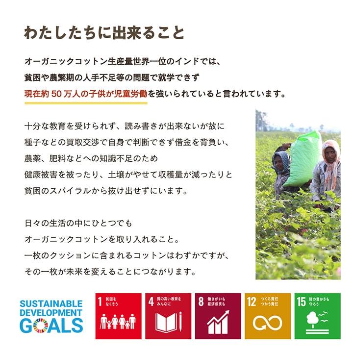 日本製 車用クッション カークッション 「クララ い草入タタキ」 約43×43cm クッション インド綿 オーガニックコットン 無地 |  | 06