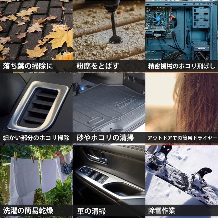 西田智三 アイヌコタン 西田智三さん かみどめ髪留 髪飾り オニキス