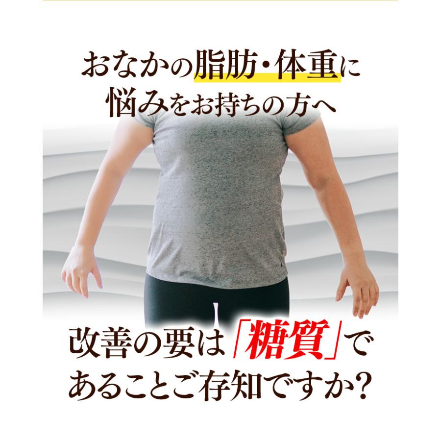 メタバリア 【店頭戻り品】【リニューアル前品】メタバリアEX 30 メタバリア 【店頭戻り品】【リニューアル前品】メタバリアEX 30