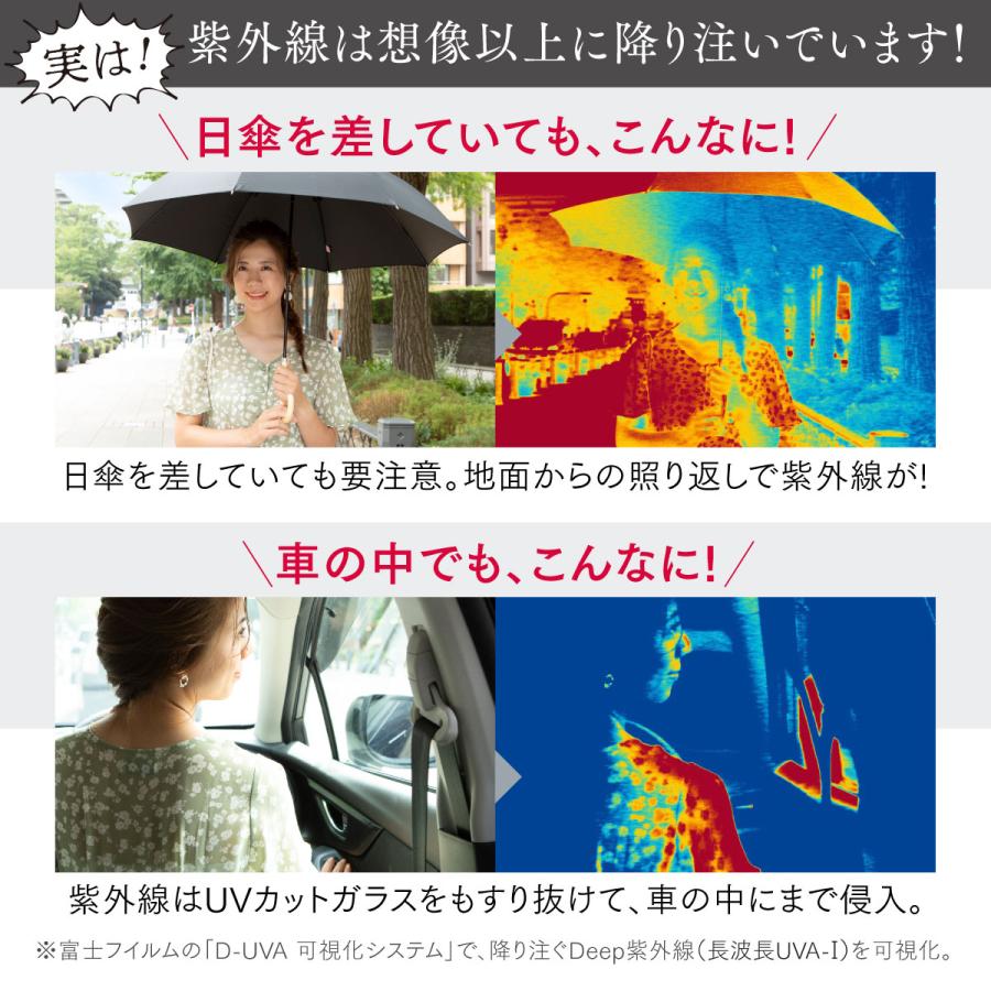 ASTALIFT（アスタリフト） ホワイトシールド 30日分 60粒 公式 サプリ