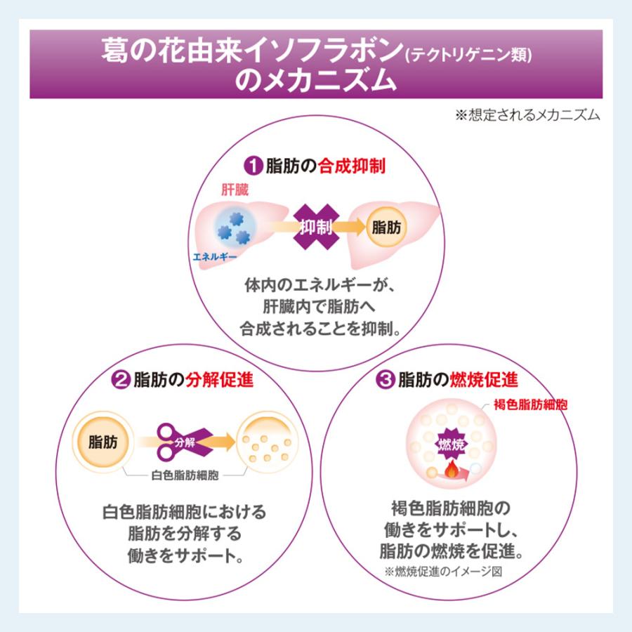 メタバリア 葛の花 イソフラボン EX サプリ 30日分 120粒 袋タイプ