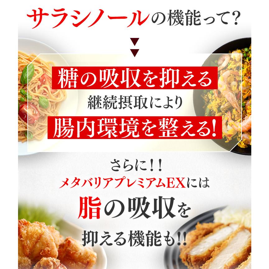 メタバリア プレミアムEX 60日分 480粒 (30日分袋タイプ 240粒 メタバリア プレミアムEX 60日分 480粒 (30日分袋タイプ 240粒