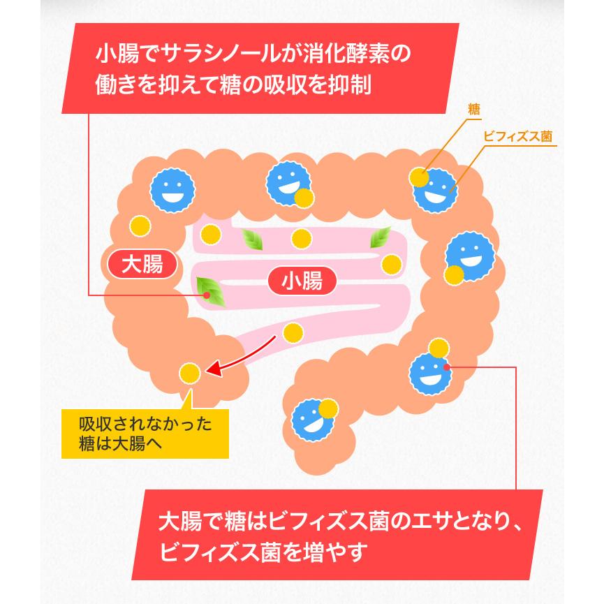 メタバリア プレミアムEX 60日分 480粒 (30日分袋タイプ 240粒 メタバリア プレミアムEX 60日分 480粒 (30日分袋タイプ 240粒