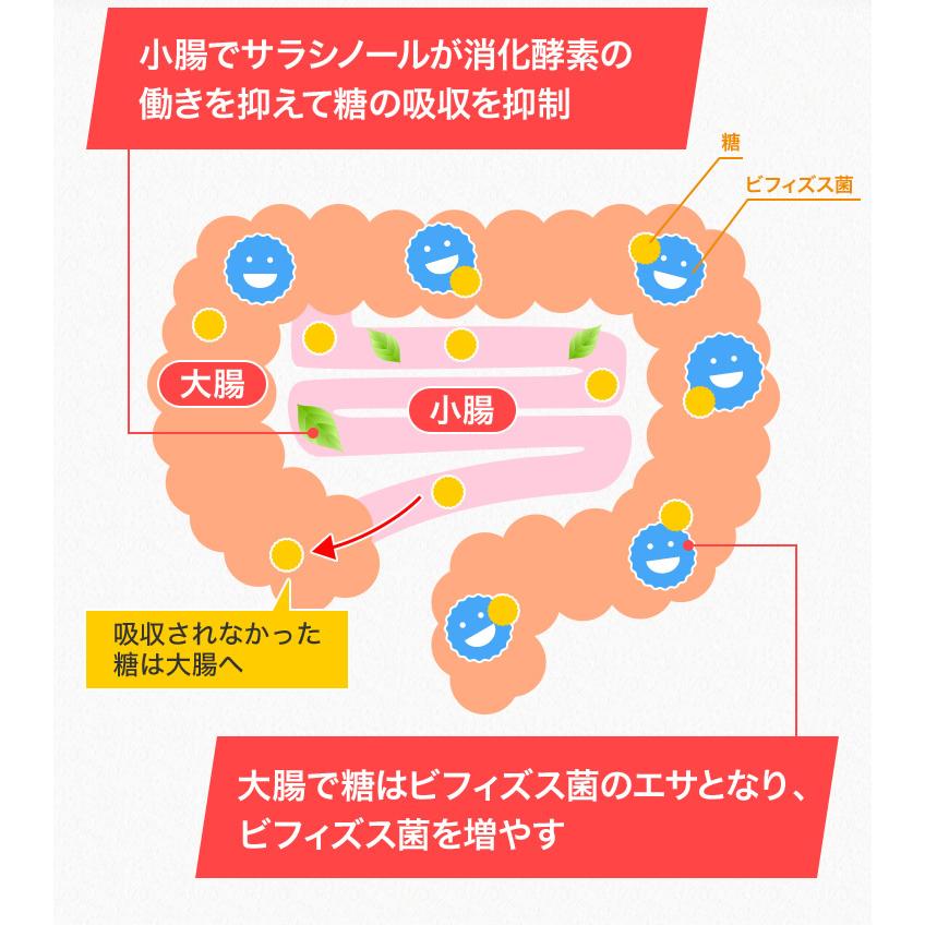メタバリア 【リニューアル前品】メタバリアEX 90日分 720粒 (30日分袋