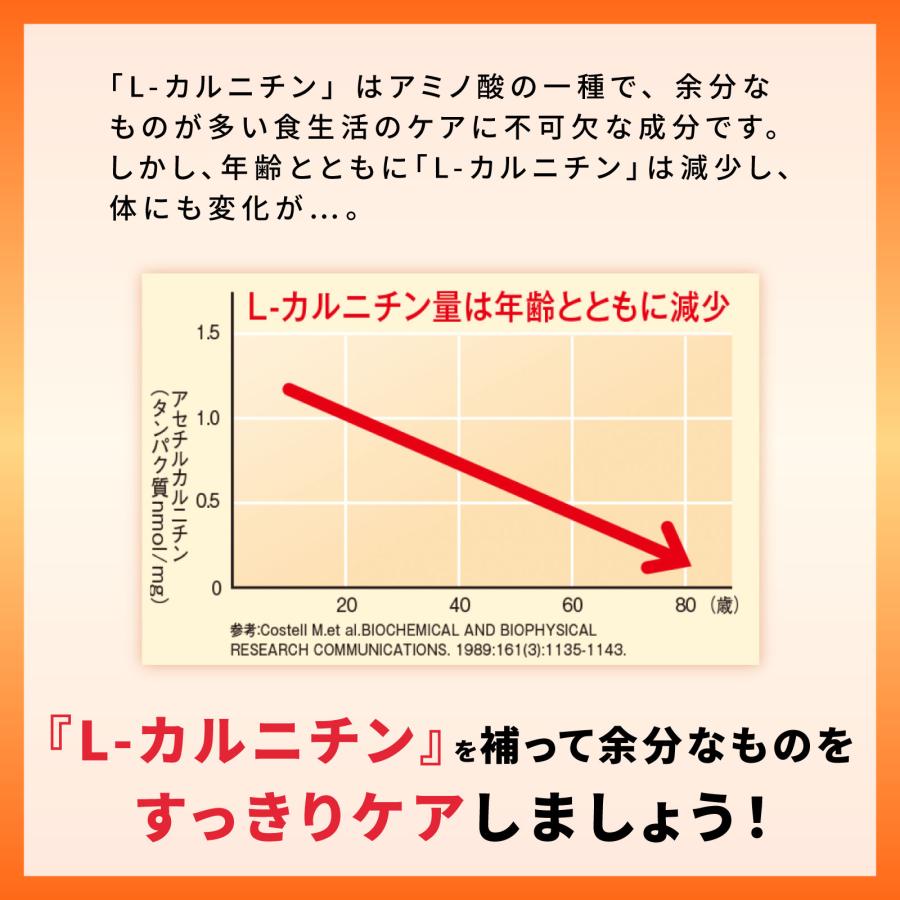メタバリア 【1袋増量！】メタファイア 90日分 450粒 (30日分袋タイプ