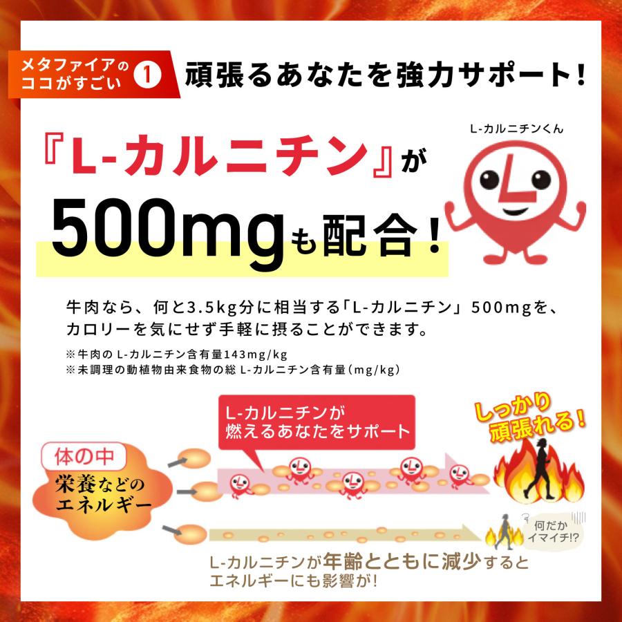 メタバリア 【1袋増量！】メタファイア 90日分 450粒 (30日分袋タイプ