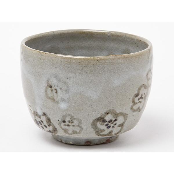 送料無料】荒川武夫 作 虎渓山 水月窯 粉吹風茶碗/お茶のふじい・藤井