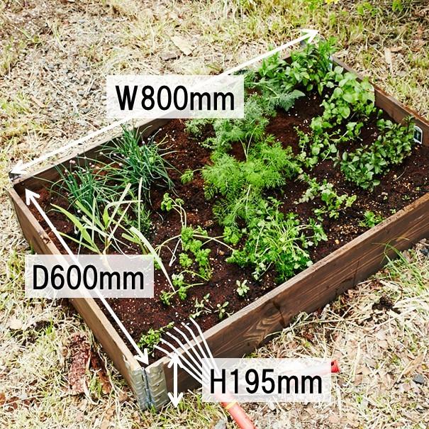 ガーデンボックス800×600 黒 レイズドベッド 立ち上げ花壇 木製 組立式