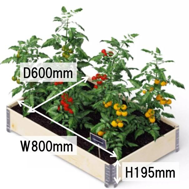 再販！ガーデンガゼボ♡組み立て式 fujiju_10000272