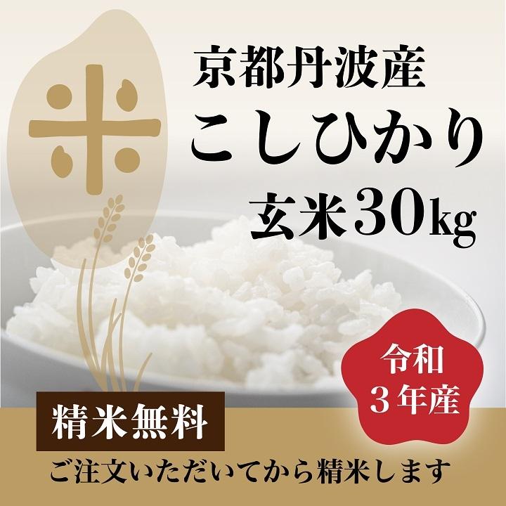 特別オファー 福井産 ピロール米 コシヒカリ 玄米10kg 令和4年産<BR>