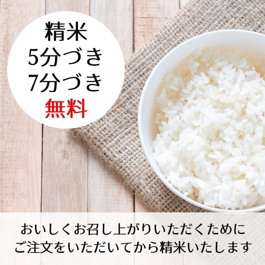 上質で快適 北海道産米 令和4年産 新米 白米 ゆめぴりか 一等米 20