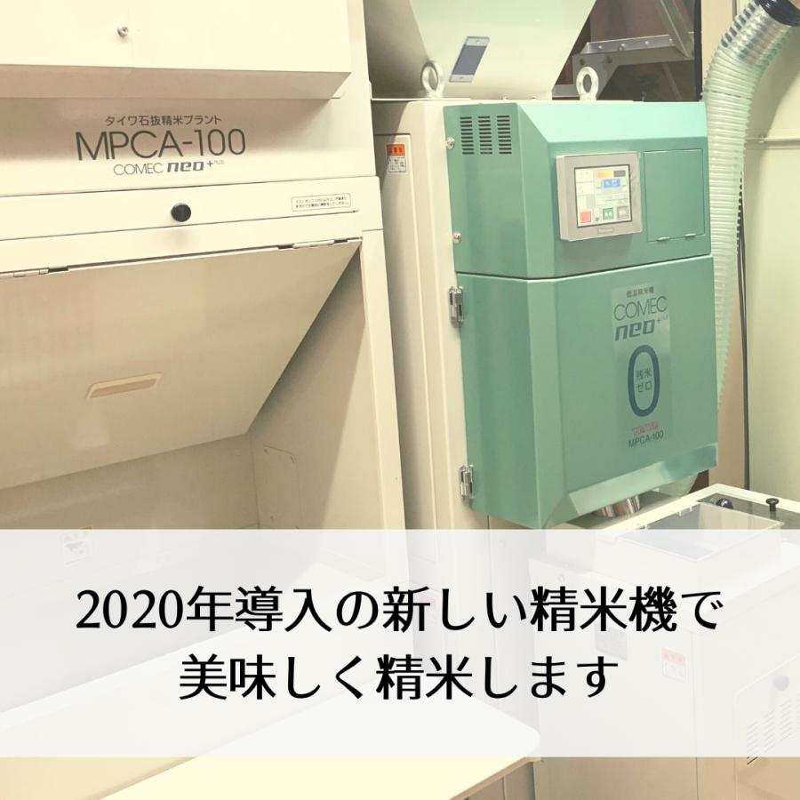 滋賀県産 にじのきらめき 令和6年 玄米30Kg 1等 : 藤勝商店 滋賀県産 にじのきらめき 令和6年 玄米30Kg 1等 : 藤勝商店