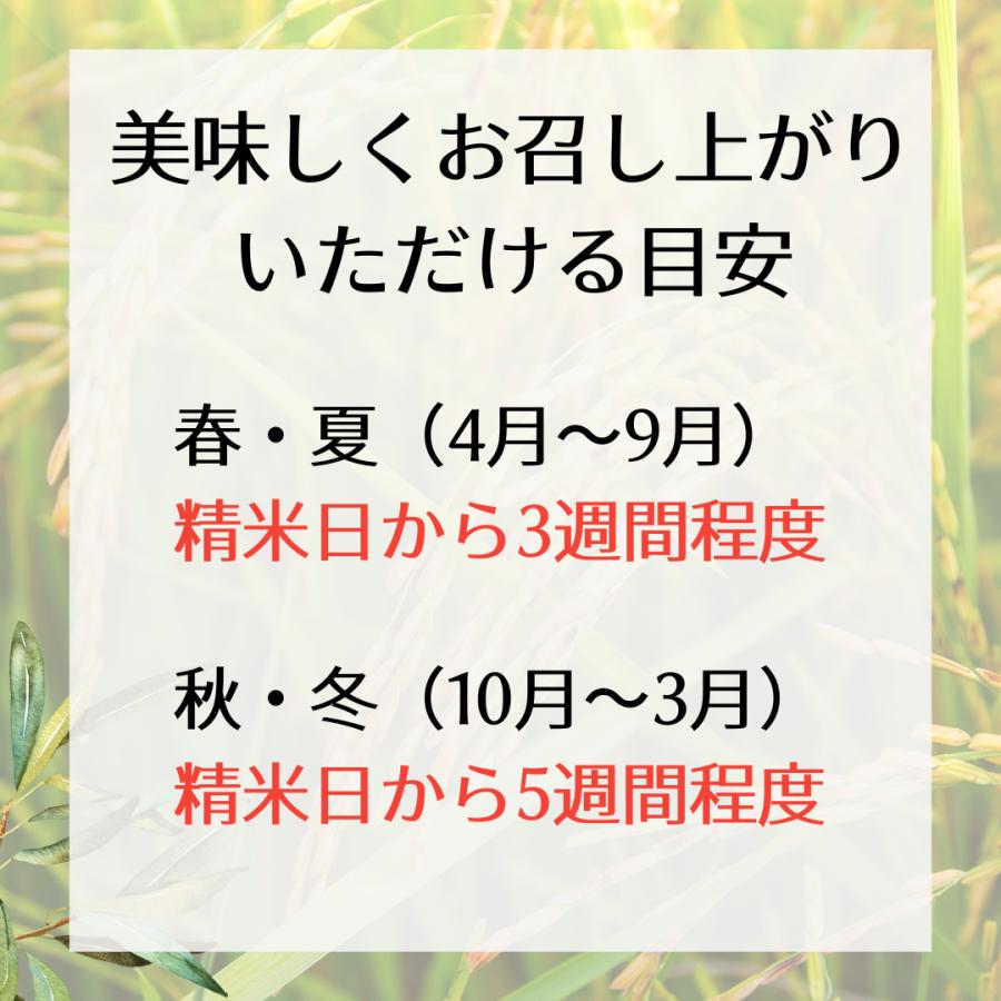 滋賀県産 にじのきらめき 令和6年 玄米30Kg 1等 : 藤勝商店 滋賀県産 にじのきらめき 令和6年 玄米30Kg 1等 : 藤勝商店