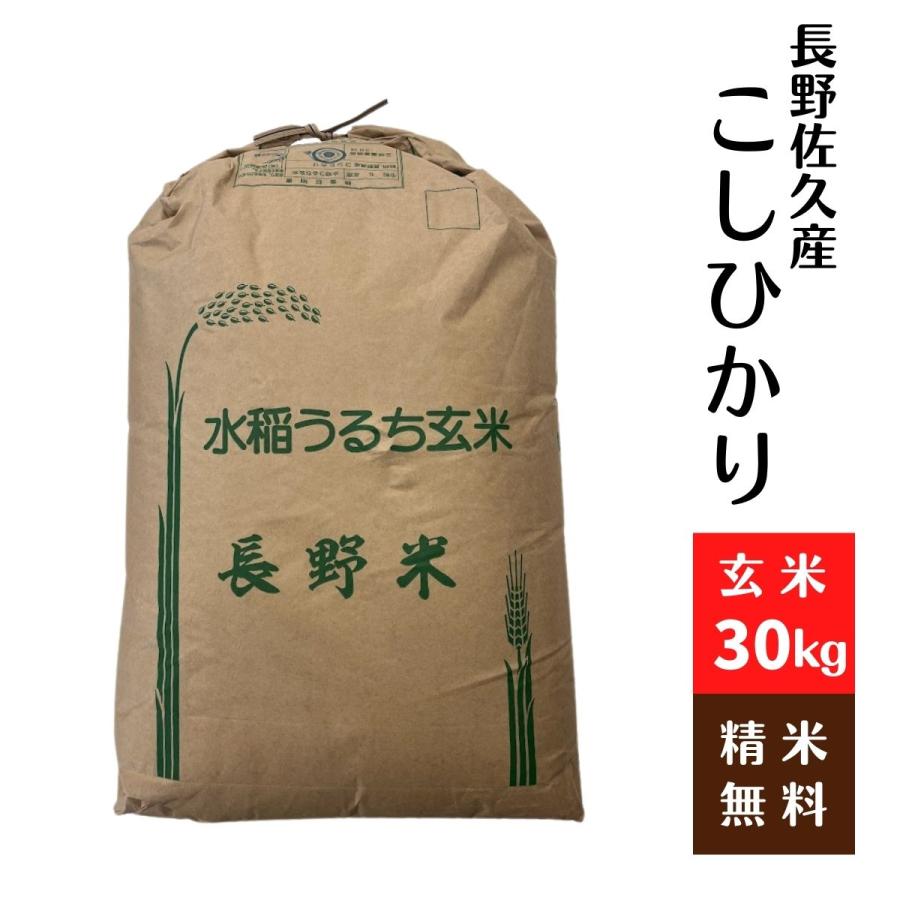 コシヒカリ 長野佐久産 こしひかり 令和6年 玄米30Kg 1等 : 藤勝 コシヒカリ 長野佐久産 こしひかり 令和6年 玄米30Kg 1等 : 藤勝