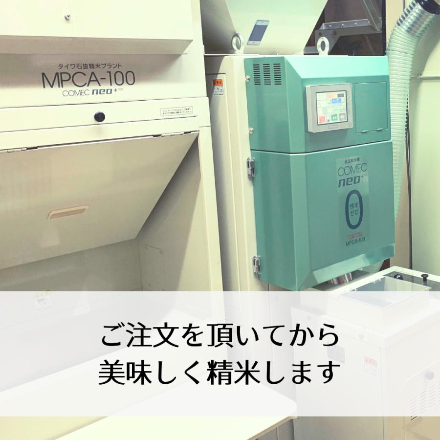 キヌヒカリ 滋賀県産キヌヒカリ 玄米30Kg 令和6年 1等 : 藤勝 キヌヒカリ 滋賀県産キヌヒカリ 玄米30Kg 令和6年 1等 : 藤勝