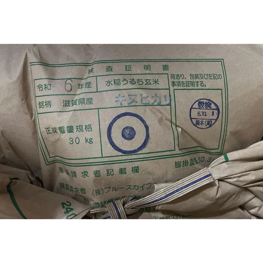 キヌヒカリ 滋賀県産キヌヒカリ 玄米30Kg 令和6年 1等 : 藤勝 キヌヒカリ 滋賀県産キヌヒカリ 玄米30Kg 令和6年 1等 : 藤勝