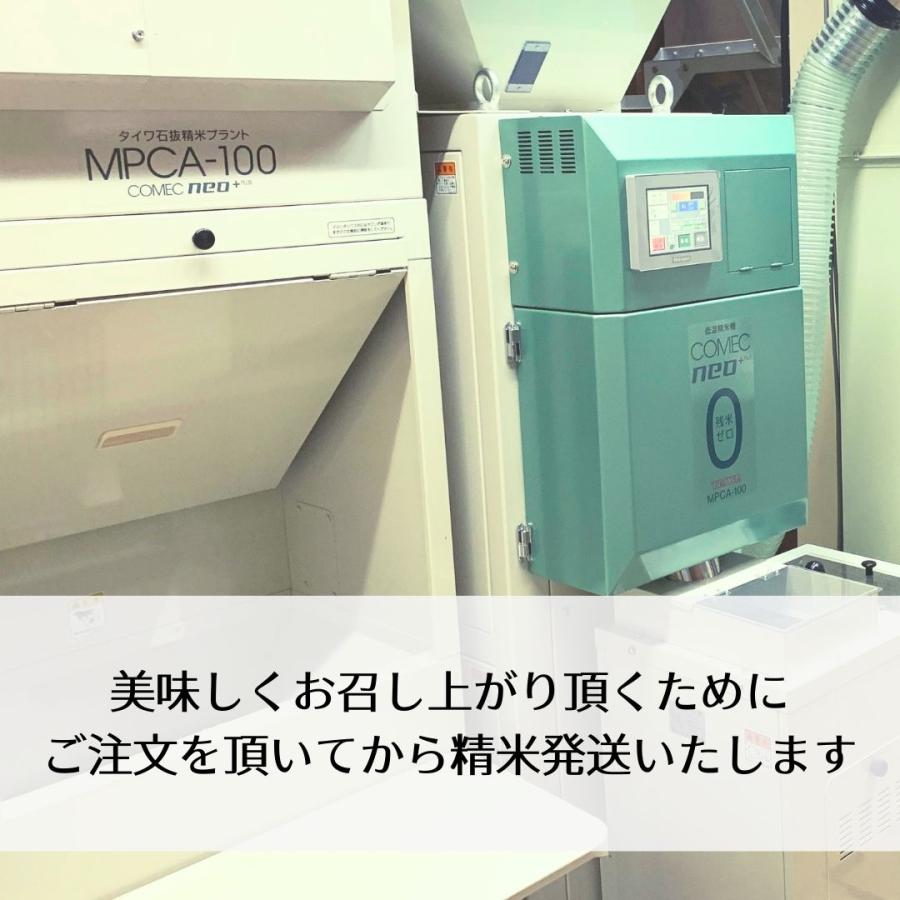 キヌヒカリ 京都丹波産キヌヒカリ 玄米10Kg 令和7年 : 藤勝商店