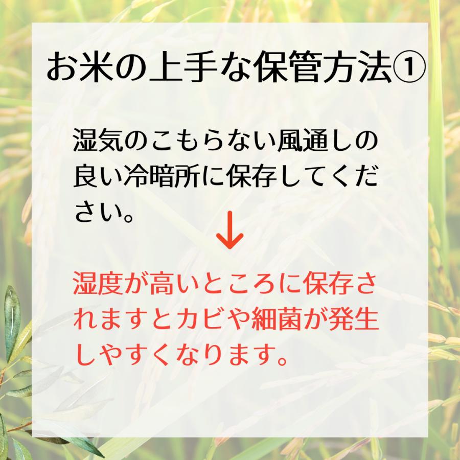 キヌヒカリ 京都丹波産キヌヒカリ 玄米10Kg 令和7年 : 藤勝商店