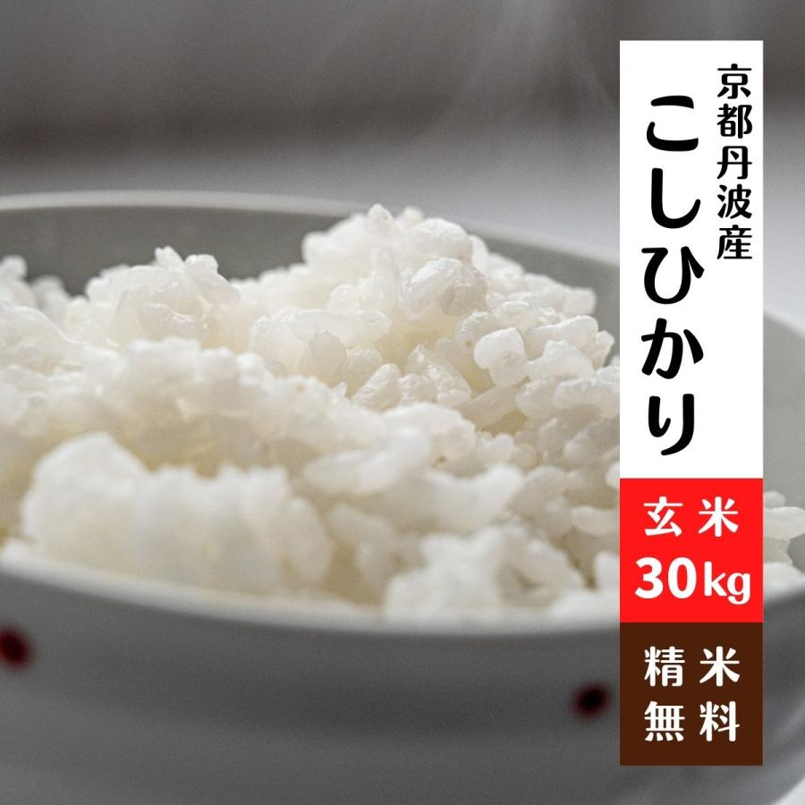コシヒカリ 京都丹波コシヒカリ 玄米30Kg 令和6年 : 藤勝商店 コシヒカリ 京都丹波コシヒカリ 玄米30Kg 令和6年 : 藤勝商店