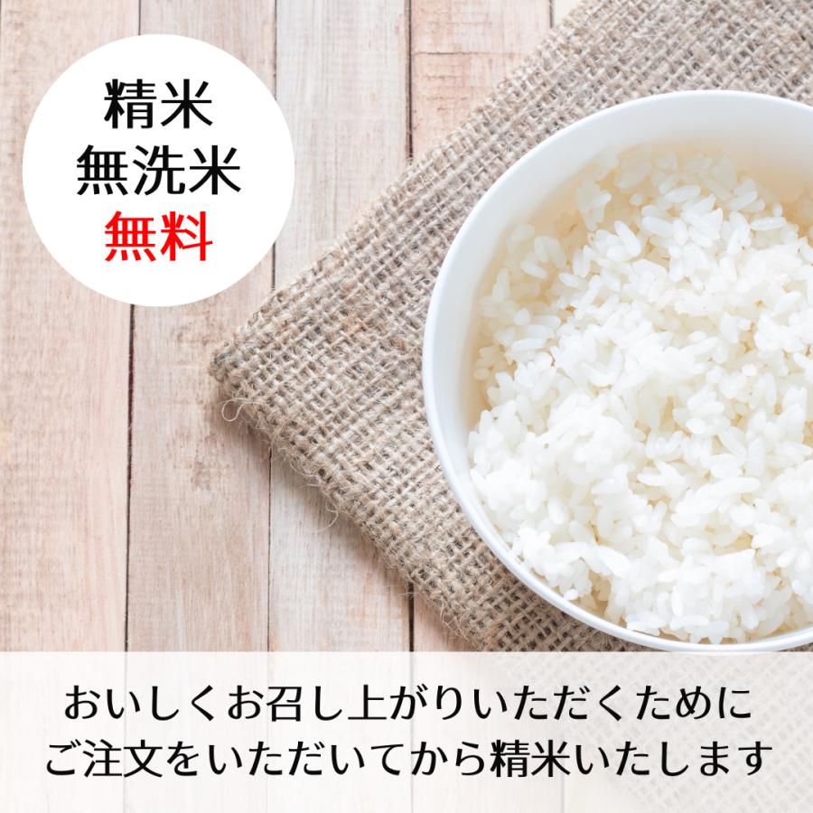 ☆新春福袋2021☆ お米 コシヒカリ 玄米 ２０kg 令和４年丹波産