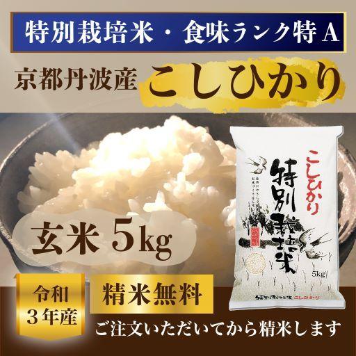 令和4年新米 京都丹後産コシヒカリ 5キロ 精米（白米）1等米 農家直送