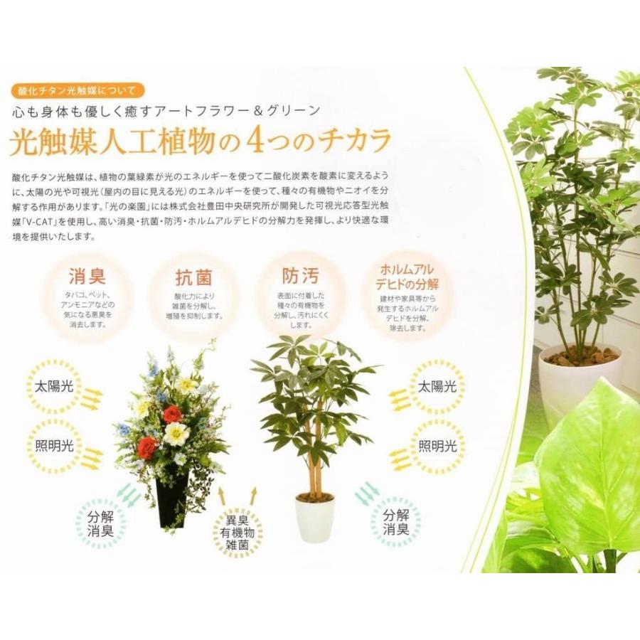 送料無料 造花 観葉植物 ゴールデンリーフ 光触媒 空気清浄 インテリアグリーン 鉢植え 高さ 160cm 超人気 Habitat Jeunes Normandie Fr
