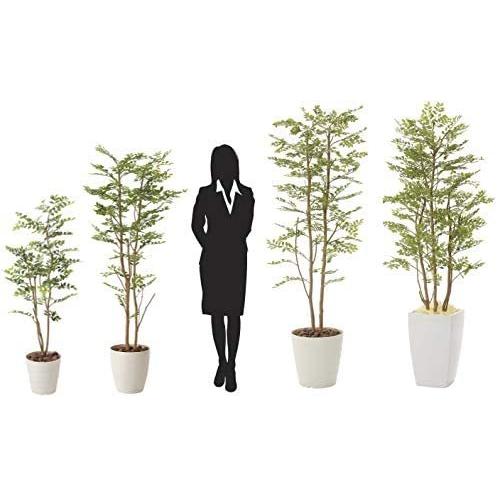 送料無料 造花 観葉植物 ゴールデンリーフ 光触媒 空気清浄 インテリアグリーン 鉢植え 高さ 160cm 超人気 Habitat Jeunes Normandie Fr