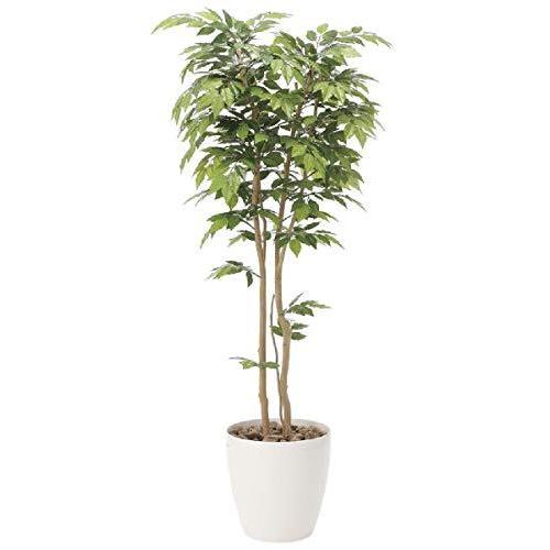 注目の輝く高品質 180cm 180cm 観葉植物 観葉植物 造花 ケヤキ Fujikikモールの造花 インテリアグリーン 002 Fujikikモール 鉢植え 光触媒 空気清浄 観葉植物