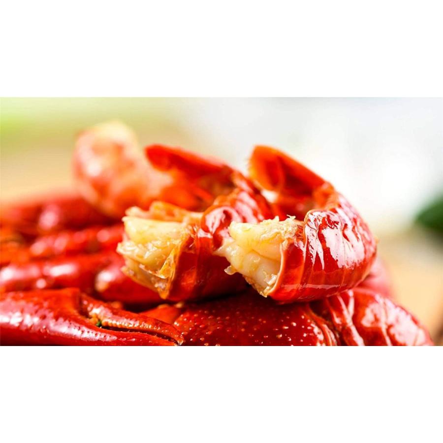 ザリガニ 食用 小龍蝦 約1 ボイルザリガニ 28 30尾 麻辣ザリガニ マーラーシャオロンシア 019 Fujikikモール 通販 Yahoo ショッピング