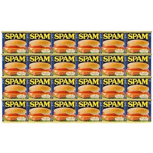 美しい レギュラースパム Spam ポークランチョンミート 24缶セット 豪華 Www Kmhsystems Com