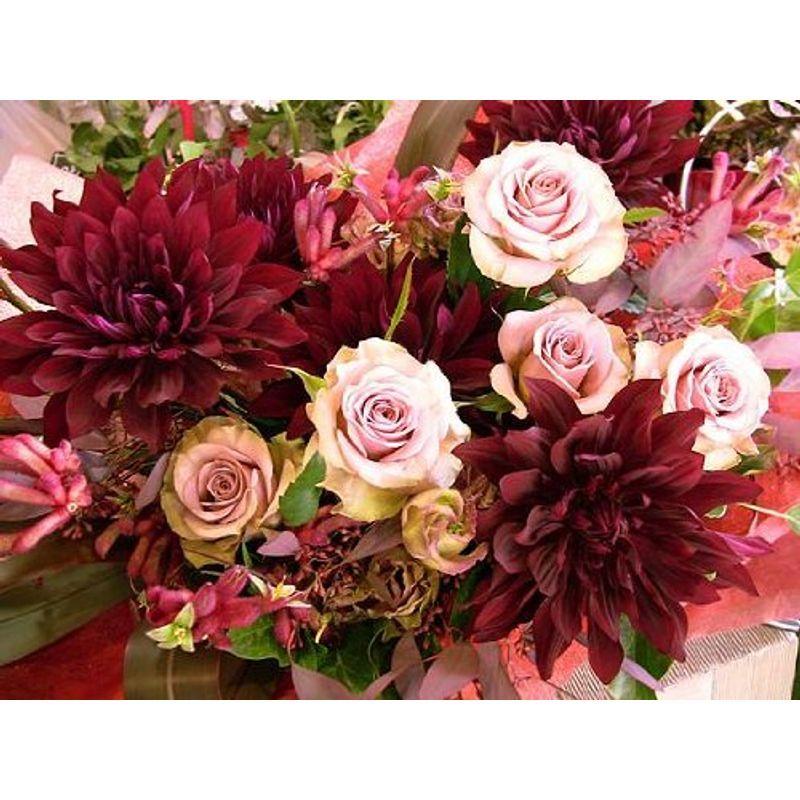 無償保証 パリスタイルの花屋バラ イプノーズ と赤いダリアのアレンジ 開店祝い 還暦のお祝い 各種お祝い 記念日に ボリューム満点 Fujikikモール 通販 Yahoo ショッピング ガソリン税 Esraapharma Com