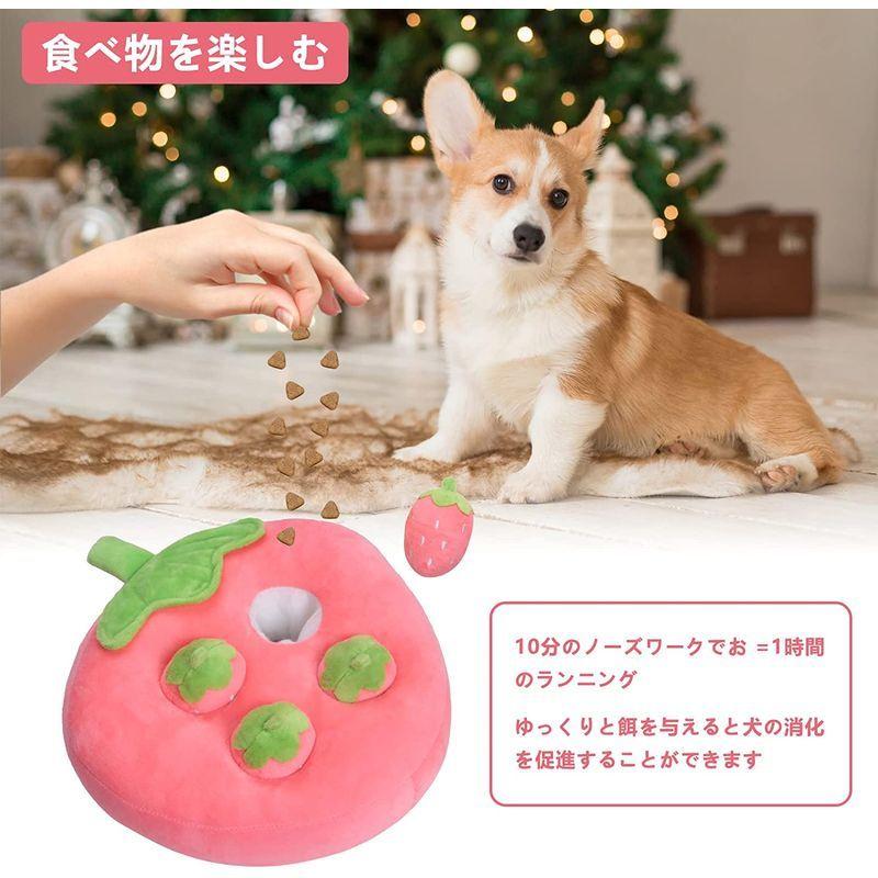 有名な Sagreeny にんじん畑 犬 おもちゃ にんじん ペットおもちゃ 知育玩具 嗅覚訓練マット運動不足 分離不安 ストレス解消 集中力向 Wantannas Go Id