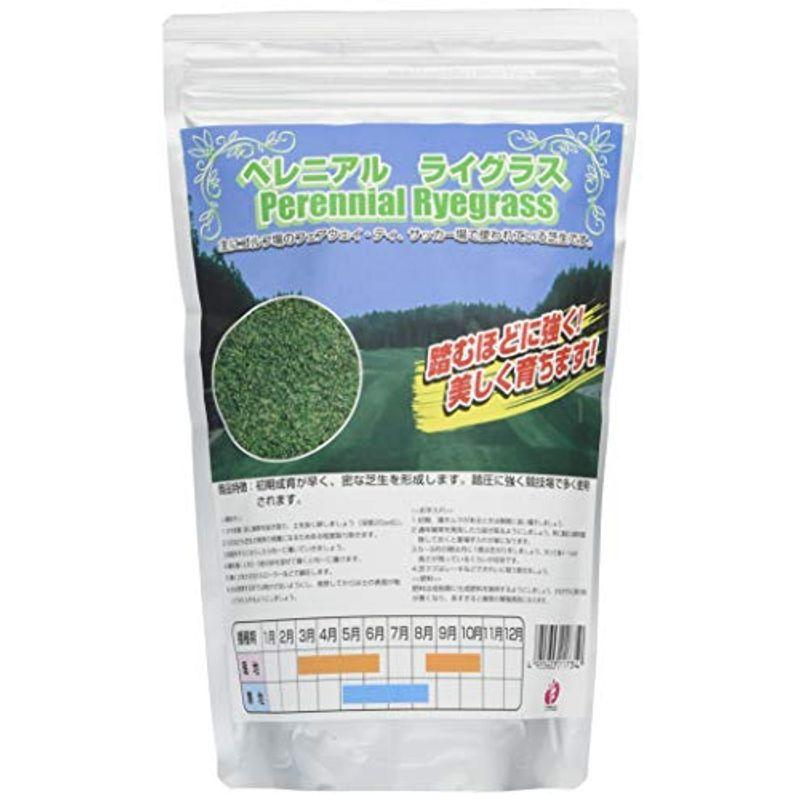 984円 期間限定で特別価格 西洋芝種子 ペレニアルライグラス 1l詰