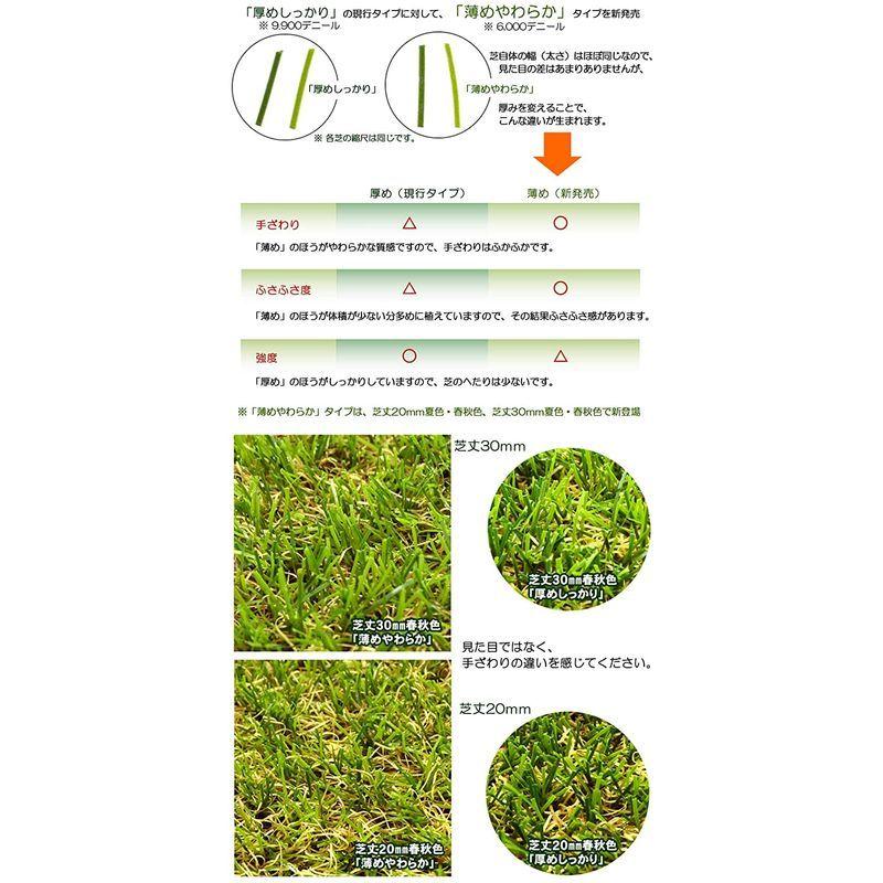 ガーデンガーデン 色までリアルなロール人工芝 しっかりタイプ 夏色 芝丈40mm 幅1m×2mロール 自然反射加工 安全性検査済 FME-4  :20220327154121-00360:Fujikiモール - 通販 - Yahoo!ショッピング