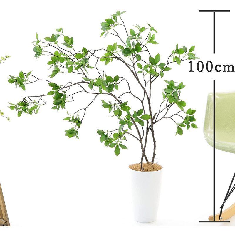 光触媒 観葉植物 フェイクグリーン 造花 グリーン 人気 緑 初心者 空気清浄 おしゃれ 銀 大きめ 観葉樹 ドウダンツツジ 3本立 高さ1 こそあど雑貨 通販 Yahoo ショッピング