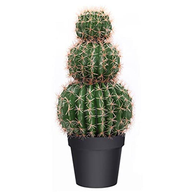 Binnny Flower サボテン フェイクグリーン 多肉植物 光触媒 観葉植物 フェイク 人工観葉植物 有害物質分解 大型 空気清浄 消臭 抗菌 折扣词 打折力度 Accounts Gohoardings Com