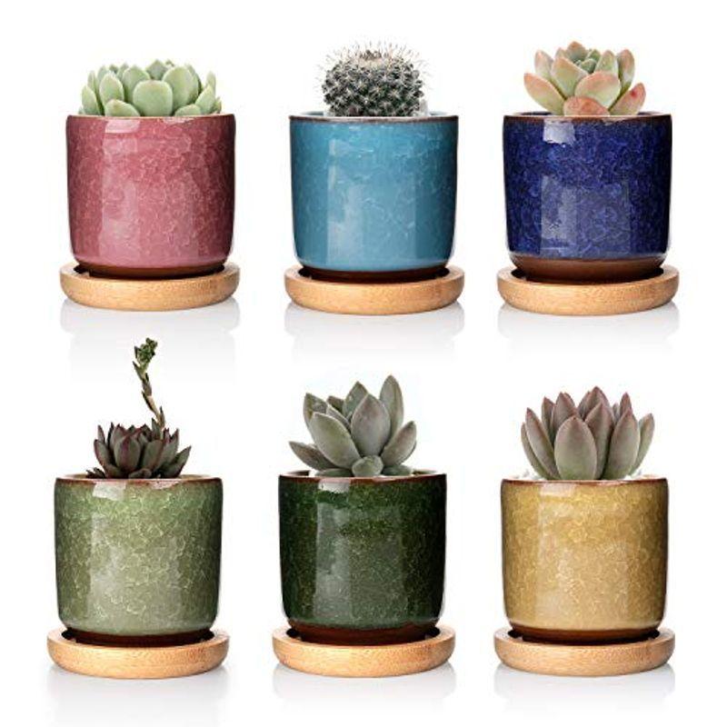 全品送料0円植物鉢 貫入釉 陶器 多肉植物鉢 サボテン鉢 おしゃれ かわいい 花瓶 インテリア 住まい 小物 928 140 Www Epmhv Quito Gob Ec