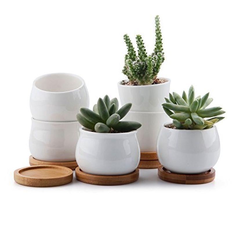 T4U 7cm 陶器鉢 多肉植物 サボテン鉢 植木鉢 バンブートレイ付き 底穴付き 植物なし 白 6点セット 誕生日 ギフト インテリア 飾 :20220327173847-01394:こそあど雑貨 - 通販 - Yahoo!ショッピング T4U 7cm 陶器鉢 多肉植物 サボテン鉢 植木鉢 バンブートレイ付き 底穴付き 植物なし 白 6点セット 誕生日 ギフト インテリア 飾 :20220327173847-01394:こそあど雑貨 - 通販 - Yahoo!ショッピング