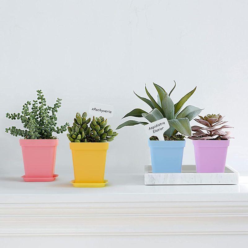 Kesote 植木鉢 おしゃれ プランター 鉢植え 多肉植物 鉢 6色 12個セット プラスチック カラフル 寄せ植えツール付き Fujikiモール 通販 Yahoo ショッピング