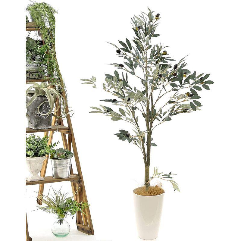 造花ドットコム 光触媒 フェイクグリーン 人気 人工 造花 観葉植物 観葉樹 グリーン 空気清浄 脱臭 リアル 鉢 室内 インテリア リビン こそあど雑貨 通販 Yahoo ショッピング