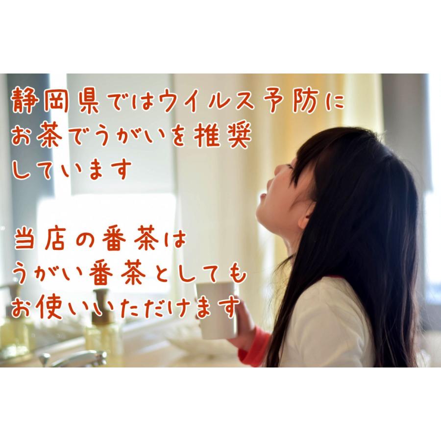 ためして ガッテン 高血圧 お茶