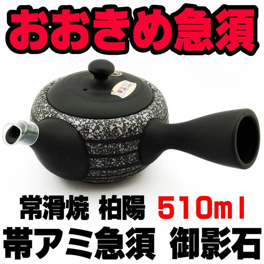 大きめ急須 帯アミ急須 常滑焼 柏陽 黒筋 御影石柄 510ml 急須 茶器 3